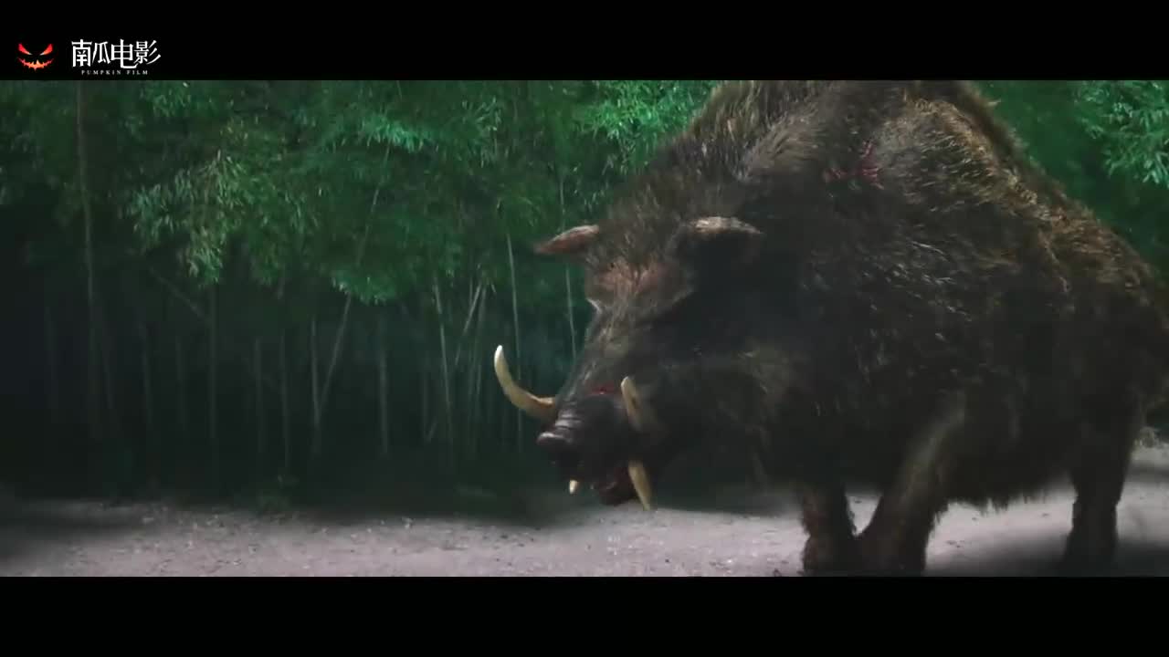 西游降魔篇:猪刚鬣太猛了,但还是不敌老虎,一出场就把他撂翻了